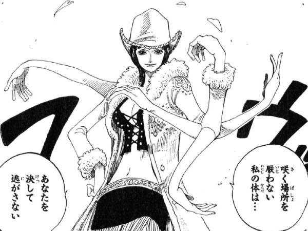 ハナハナの実の能力と技とエピソード One Piece 悪魔の実とかのindex