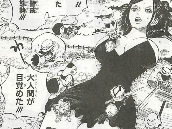 ヌイヌイの実の能力と技とエピソード One Piece 悪魔の実とかのindex